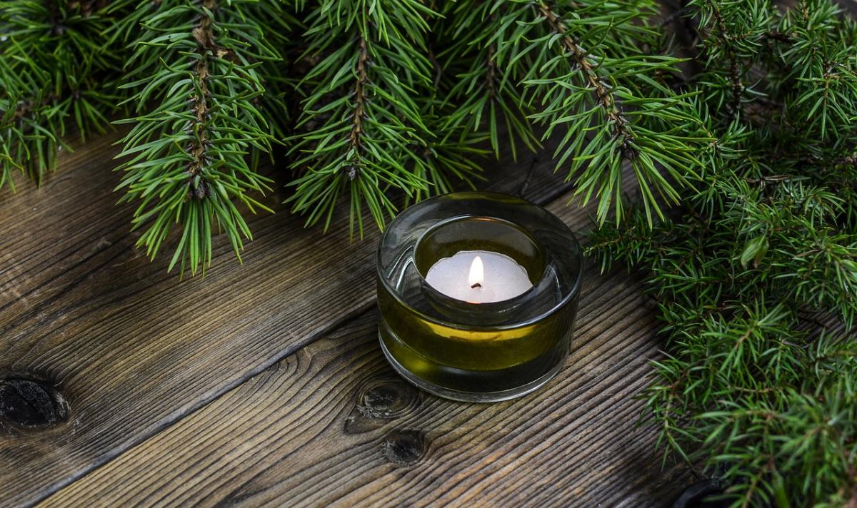 Burning candle on a table next to evergreen branches