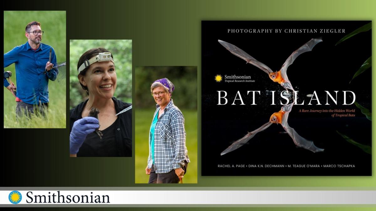 Photo of the book cover of Bat Island with three speakers who will be presenting.