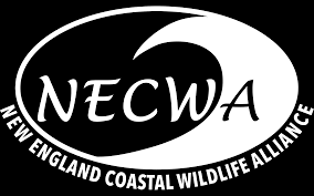 NECWA: New England Coastal Wildlife Alliance